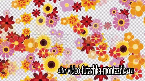 футажи переходы-Flowers Transition 4K Motion Graphic 