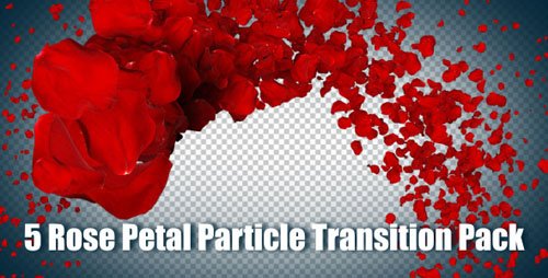VideoHive 5 Rose Petal Particle Transition Pack (Motion Graphics)