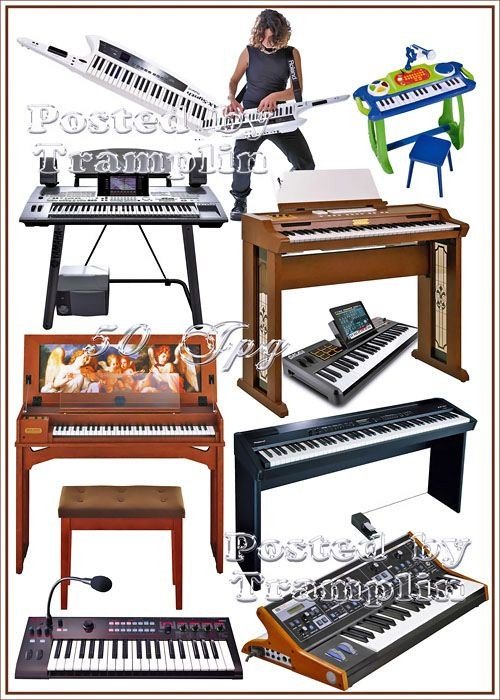 Музыкальные инструменты - Синтезаторы и Клавесины