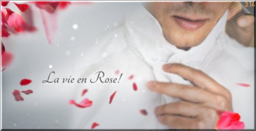 La Vie en Rose - Wedding Template - Projects for After Effects