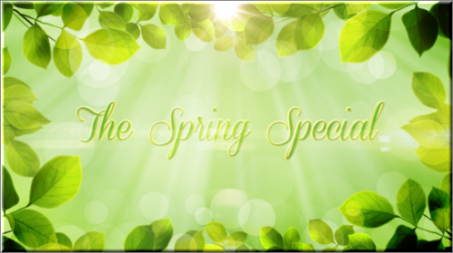 Videohive The Spring Special - Promo Pack