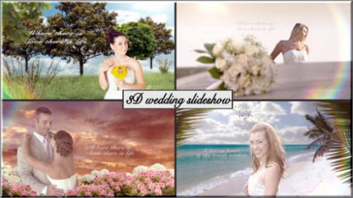 After Effect Project - 3D Wedding slideshow