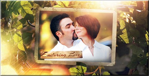 After Effects Project Videohive - The Secret Garden Photo Gallery