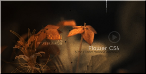 After Effects Project  - Flowers CS4