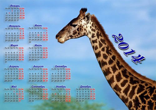 Настенный календарь 2014 года - Животные Африки