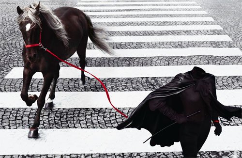 Шаблон для фото - Девушка с прекрасной лошадью на зебре