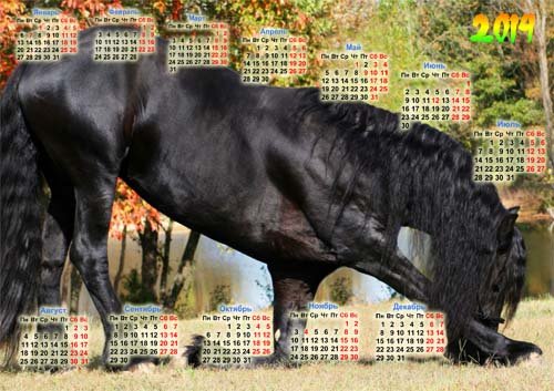 Календарь на 2014 год - Восхитительная лошадь кланяется