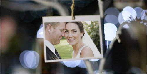 Videohive - Photo Gallery at a Country Wedding II