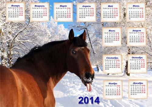 Настенный календарь - Смешная лошадь