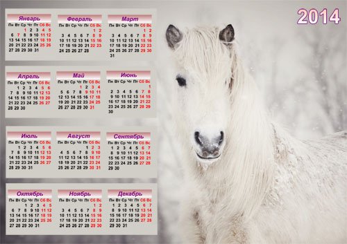 Настенный календарь - Снежно-белая лошадь