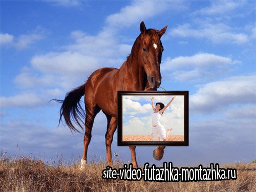 Рамка для фото - Лошадь держит картину с вашим фото