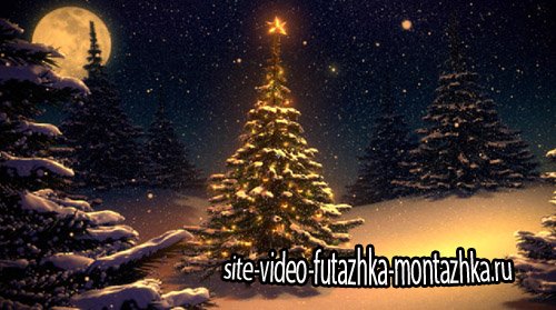 iStockVideo Winter landscape with Christmas tree vintage colors
