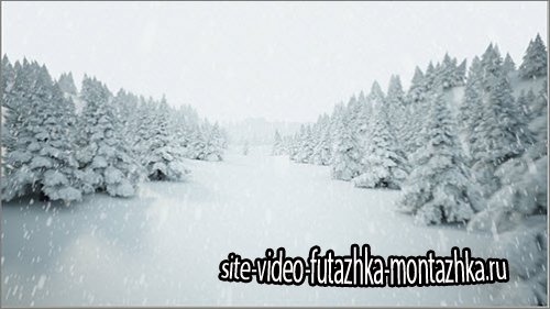 iStockVideo Winder landscape with falling snow