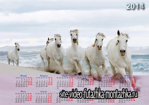 Календарь большого формата - Белые лошади у воды