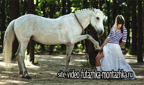 Шаблон для фотомонтажа - Фото с красивой лошадью