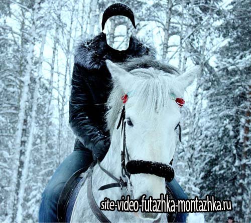 Мужской шаблон - Фото на коне в лесу зимой