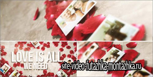 After Effects Project -  Rose Petals Heart - Photo Gallery