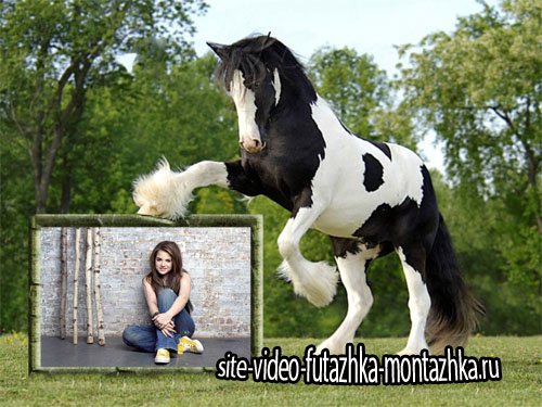 Рамка для фотомонтажа - Черно-белая лошадь и ваше фото