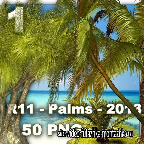 Palms 1 PNG Files