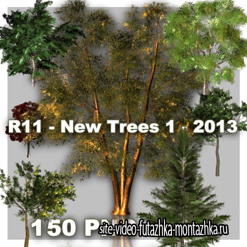 New Trees PNG Files