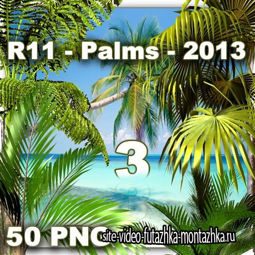 Palms 3 PNG Files