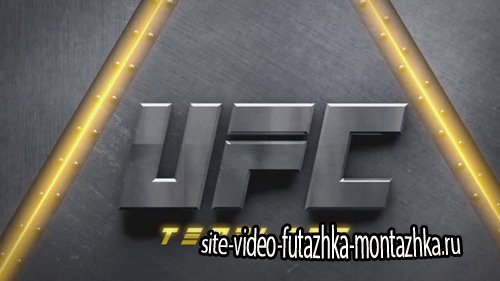UFC intro - Project for After Effects