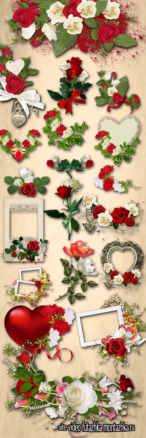 Red and White Roses, Composition with Roses PNG Files