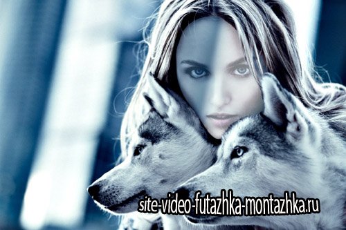 Шаблон для фотомонтажа - Фотосессия с двумя красивыми волками