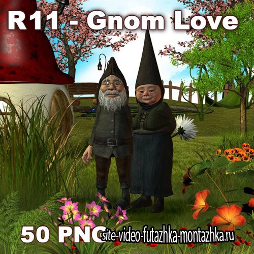 Gnom Love PNG FIles