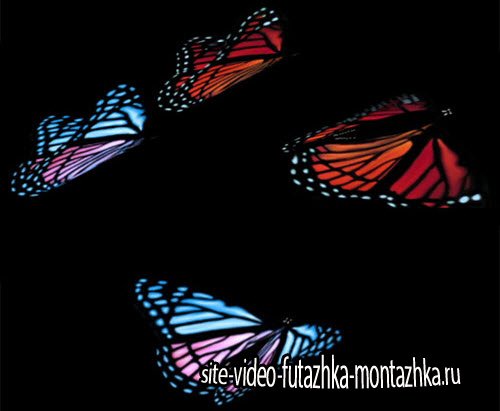 Футаж-Радужные Бабочки