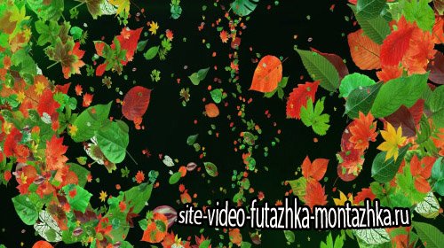 Футаж стерео - Танец листьев