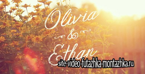 Formal Video Titles Template - Project for After Effects (Videohive)
