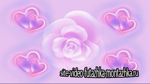 футаж - Видео заставка Седца с розой HD