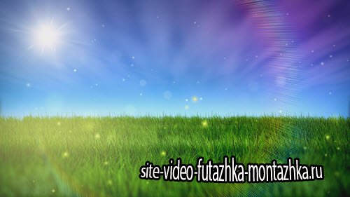 футаж - Summer freedom - Stock Video