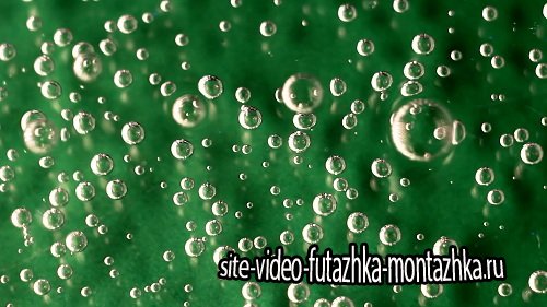 Футаж Пузыри зеленый фон HD