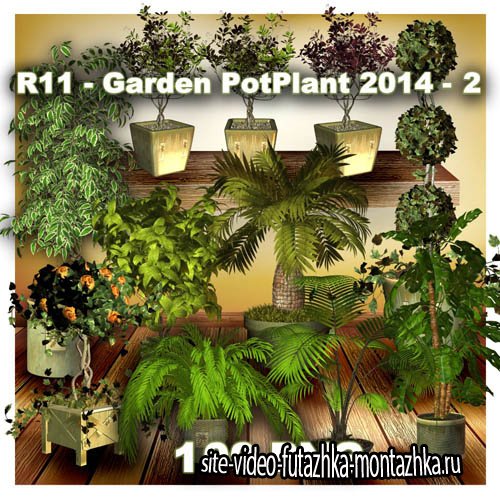 Garden PotPlant - 2 PNG Files