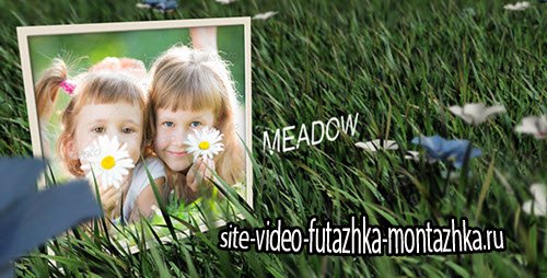 After Effect Project - Meadow