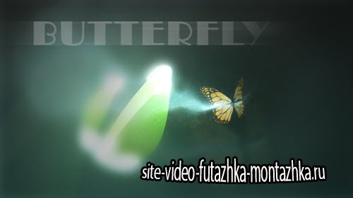 After Effect Project - Butterfly Logo Reveal