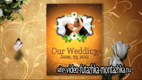After Effect Project - Our Precious Wedding Moments