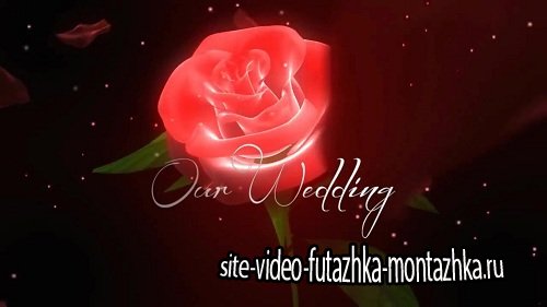 Wedding Flower - style для ProShow Producer®