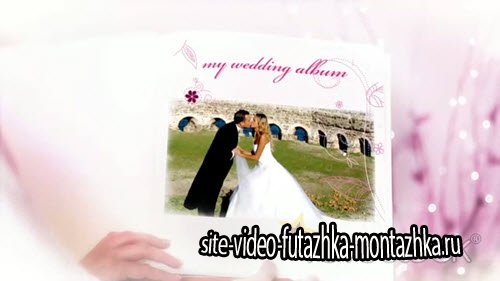 Wedding Photo Album Live Video - Project for After Effects (REVOSTOCK)