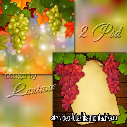 PSD исходники - Винограда налитая гроздь