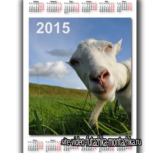 Красивый календарь - Смешная коза