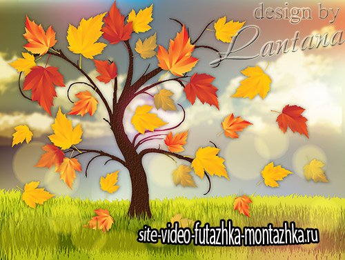 PSD исходник - Листопад, листопад, листья по ветру летят
