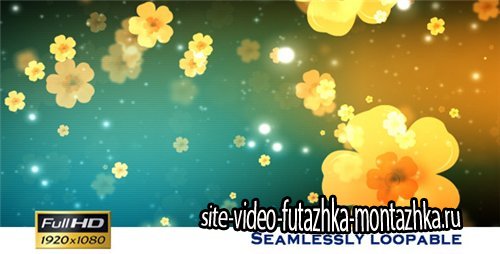 Flower Show - After Effects Motion Graphics (Videohive)