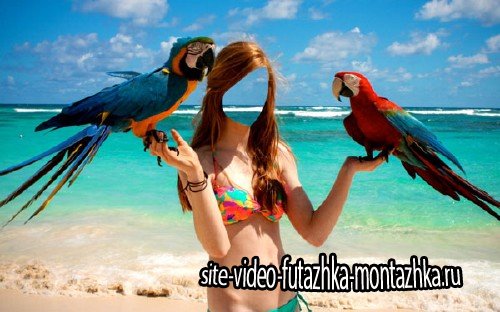 Шаблон для фотомонтажа - Девушка с 2-мя большими попугаями