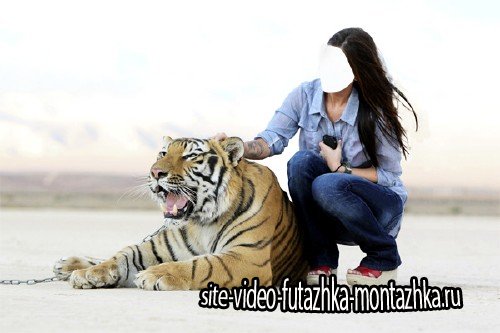 Шаблон для фотошопа - Фото с сильным тигром