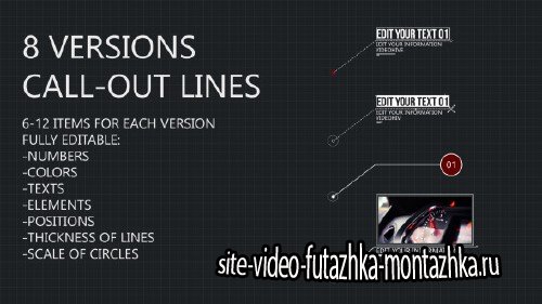 8 Line Call-Outs  - Project for After Effects (Videohive)