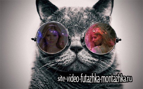 Фоторамка - Кот в очках