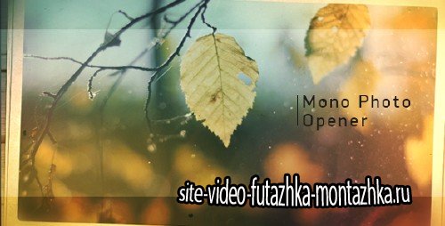 Mono Photo Opener - Project for After Effects (Videohive)